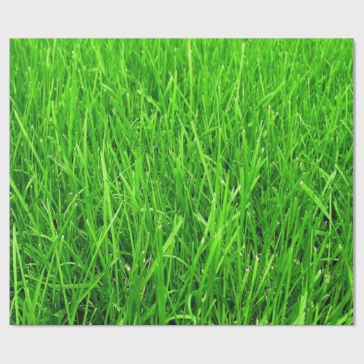 Grasmuster, VERPACKUNGS-PAPIER, Geschenkpapier (Flach)