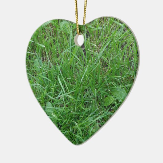 Graspflaster Keramikornament (Links)