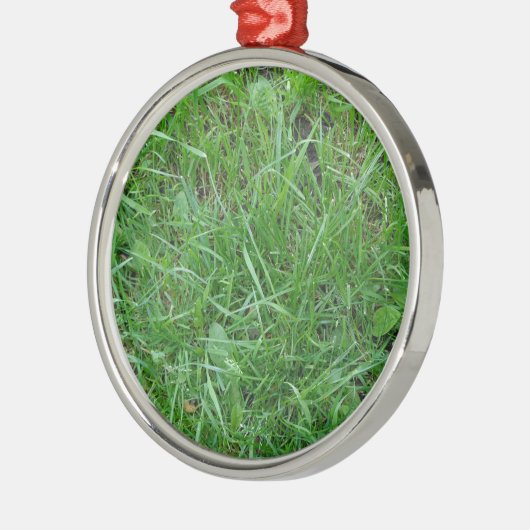 Graspflaster Ornament Aus Metall (Links)