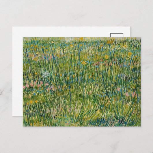 Graspflaster | Vincent van Gogh Postkarte (Vorne/Hinten)