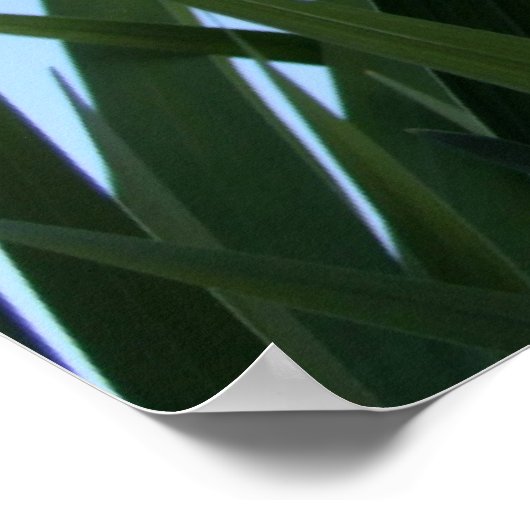 Grasplakat Poster (Ecke)