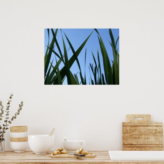 Grasplakat Poster (Küche)