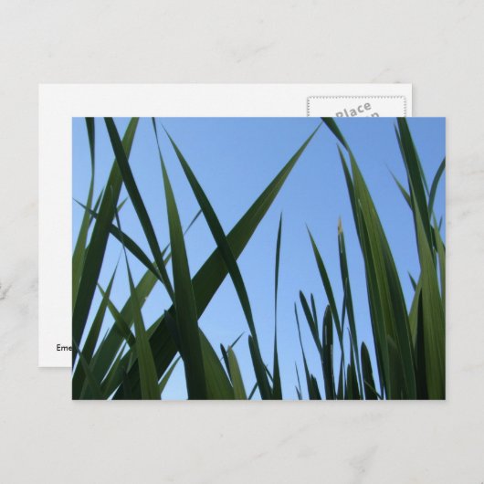 Graspostkarte Postkarte (Vorne/Hinten)