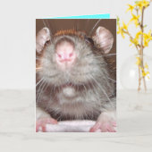 Grasratte Geburtskarte Karte (Gelbe Blume)