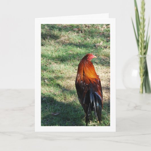 Grasroster Karte (Vorderseite)