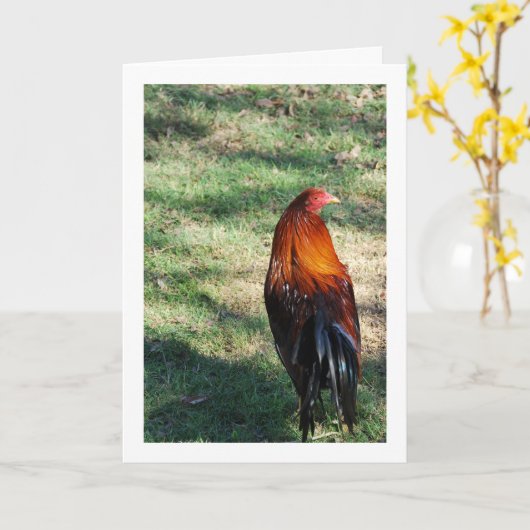 Grasroster Karte (Gelbe Blume)