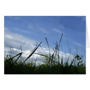 Grass and Sky Card