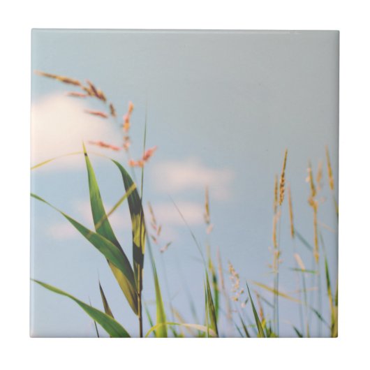 Grass Blue Sky Feldwiesen Natur Fliese (Vorderseite)