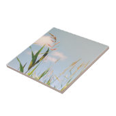 Grass Blue Sky Feldwiesen Natur Fliese (Seite)