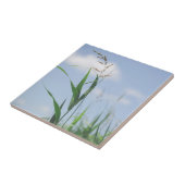 Grass Blue Sky Feldwiesen Natur Fliese (Seite)