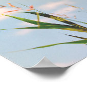 Grass Blue Sky Field Wiadow Nature Poster (Ecke)