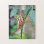 Grass Hopper Guyana. Puzzle (Vertikal)