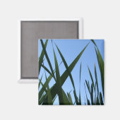 Grass Magnet (Vorderseite/Rückseite)