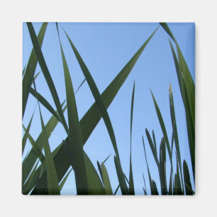 Grass Magnet