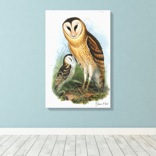 Grass Owl Canvas Print Leinwanddruck (Insitu (Holzboden))