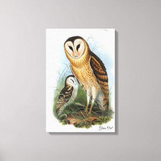 Grass Owl Canvas Print Leinwanddruck (Vorderseite)