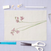 Grass-Pink-Orchard von Mary Vaux Walcott Seidenpapier (Handwerk)