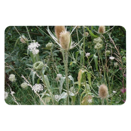 Grass Premium Magnet (Horizontal)