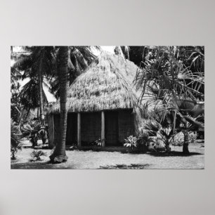 Grass Shack on Beach - Insel Hawaii Poster