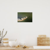 Grass Snake Poster (Küche)