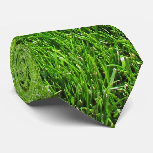 Grass tie/Grasdas Krawatte (Gerollt)