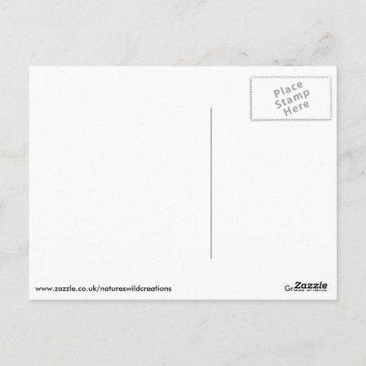 Grasschlange Postkarte (Rückseite)