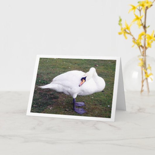Grasschwan Karte (Gelbe Blume)