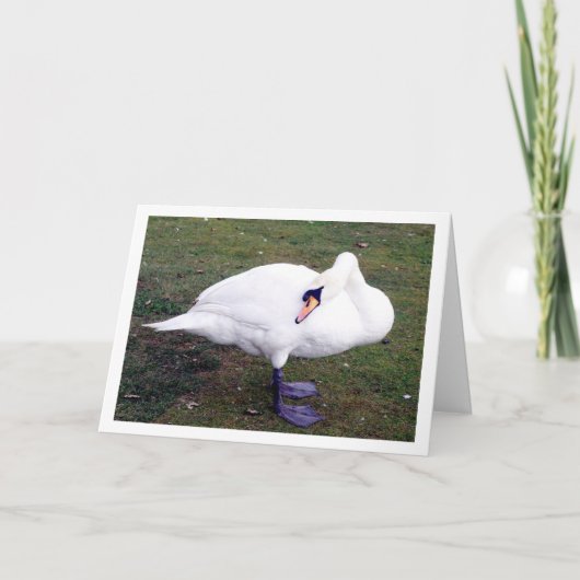 Grasschwan Karte (Vorderseite)