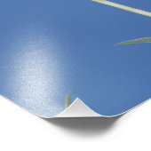 Grasschwanz Hummingbird, Selasphorus Fotodruck (Ecke)