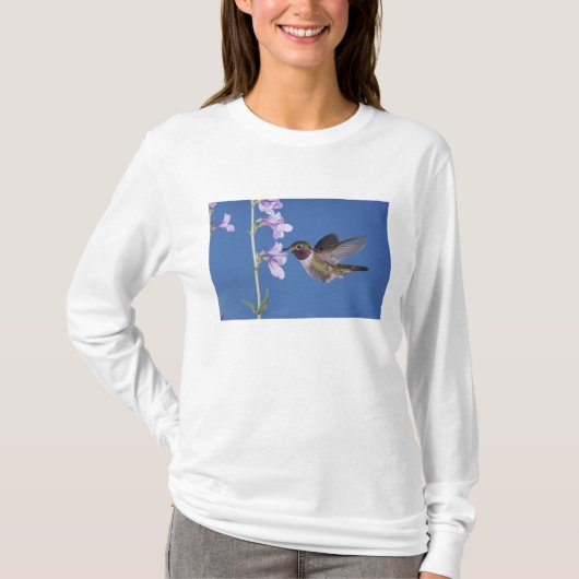 Grasschwanz Hummingbird, Selasphorus T-Shirt (Vorderseite)