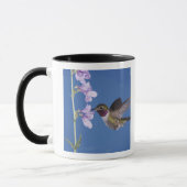 Grasschwanz Hummingbird, Selasphorus Tasse (Links)