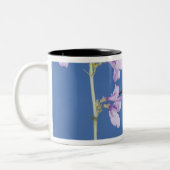 Grasschwanz Hummingbird, Selasphorus Zweifarbige Tasse (Links)