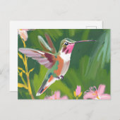 Grasschwanz-Hummingvogel in Flugmalerei Postkarte (Vorne/Hinten)