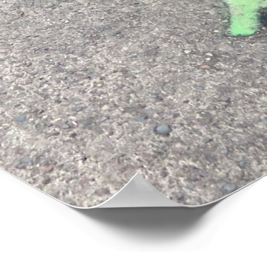 Grasschwänzchenechse Poster (Ecke)