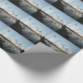 Grasse am See Sunset Geschenkpapier (Ecke)