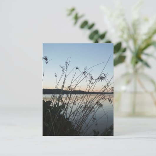 Grasse am See Sunset Postkarte (Stehend Vorderseite)