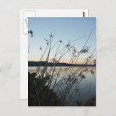 Grasse am See Sunset Postkarte (Vorne/Hinten)
