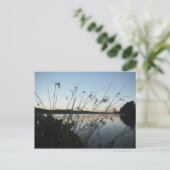 Grasse am See Sunset Postkarte (Stehend Vorderseite)