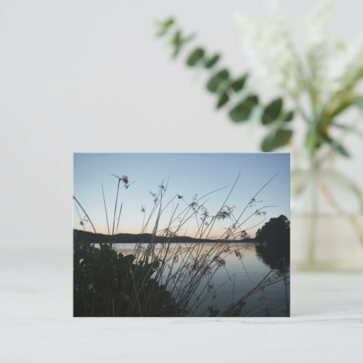 Grasse am See Sunset Postkarte (Stehend Vorderseite)