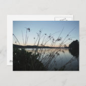 Grasse am See Sunset Postkarte (Vorne/Hinten)