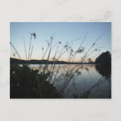 Grasse am See Sunset Postkarte (Vorderseite)