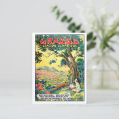 Grasse France Vintage Reise Postkarte (Stehend Vorderseite)