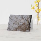 Grasses in Snow Karte (Gelbe Blume)