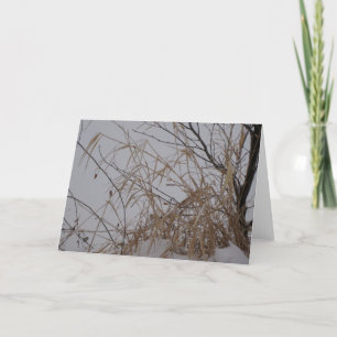 Grasses in Snow Karte
