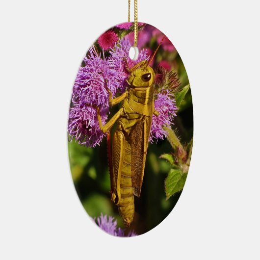 Grasshopper auf Ageratum Keramikornament (Rechts)