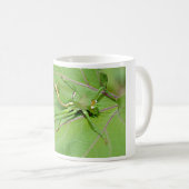 Grasshopper auf Blatt, gesehen von oben aus der Po Kaffeetasse (VorderseiteRechts)