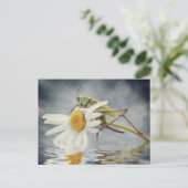 Grasshopper auf daisy-Blume Postkarte (Stehend Vorderseite)