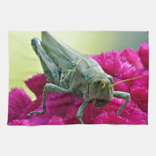 Grasshopper auf dem Cockscomb Handtuch