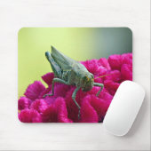 Grasshopper auf dem Cockscomb Mousepad (Mit Mouse)