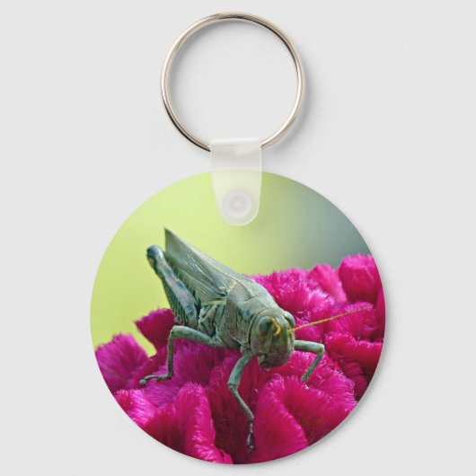 Grasshopper auf dem Cockscomb Schlüsselanhänger (Vorderseite)